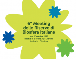 Immagine 2025-09-03 084910